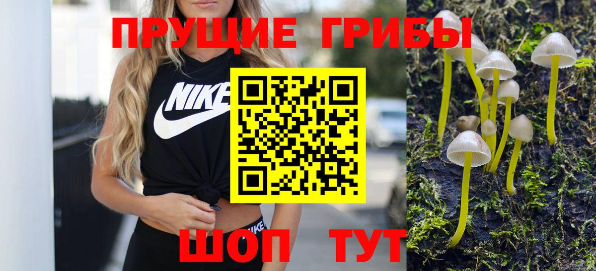 Псилоцибиновые грибы GOLDEN TEACHER Старая Купавна